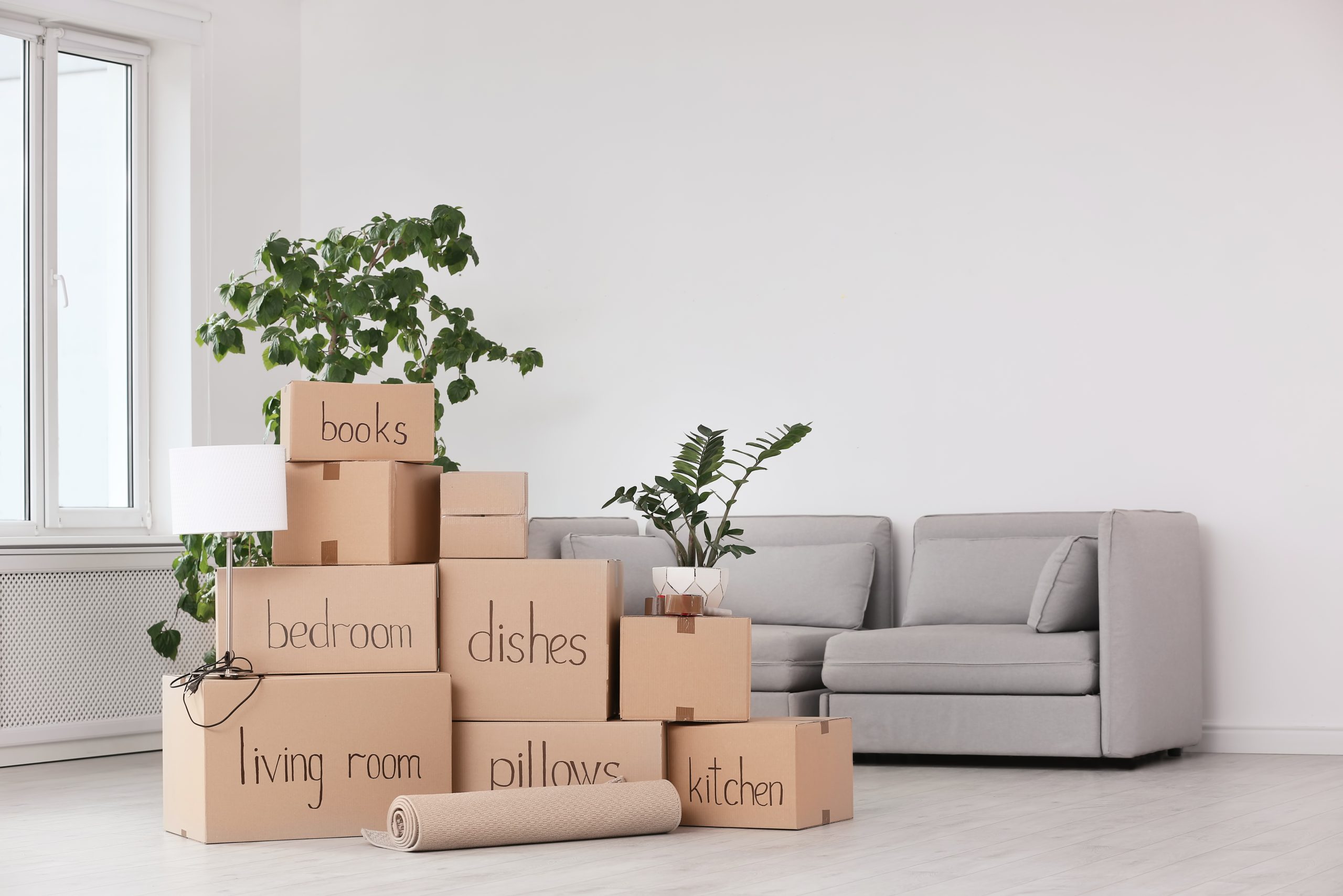 Moving Made Simple -Tips to Survive